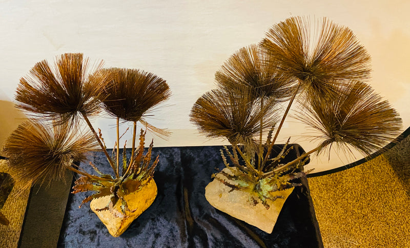 Pair John Steck 1960's Tabletop Sculptures from Steck's Desert Flower Collection