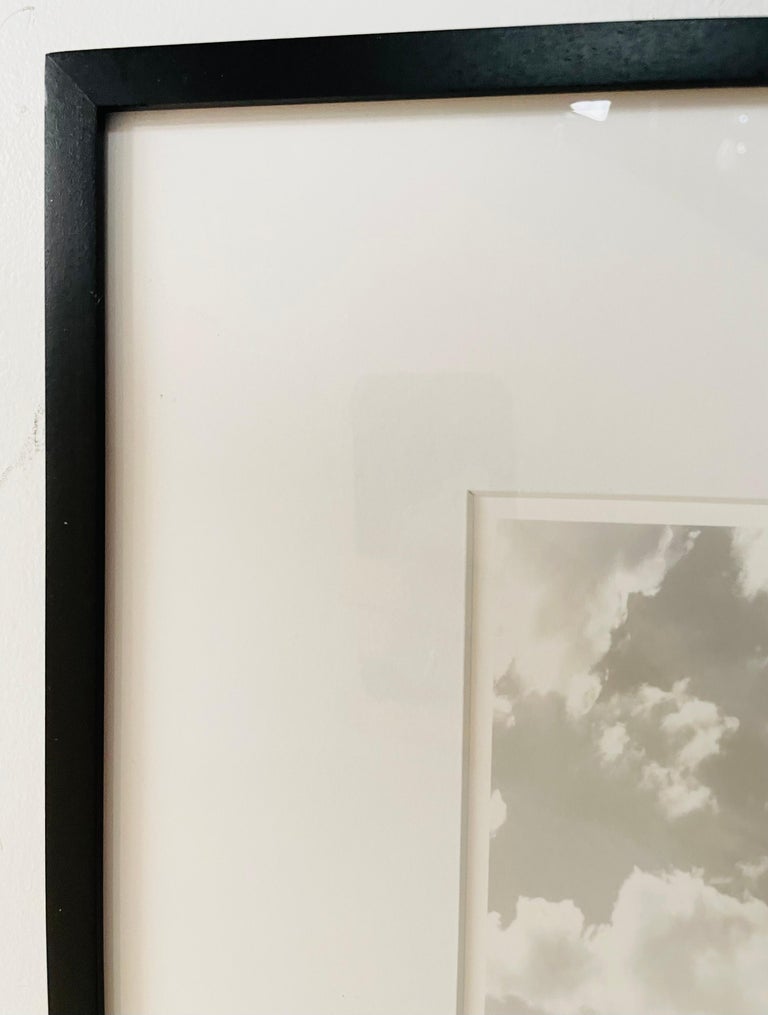 Impressionistic Photography Print of a Tree by Luciana Pampalone, Limited Edition