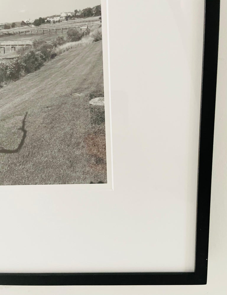 Impressionistic Photography Print of a Tree by Luciana Pampalone, Limited Edition