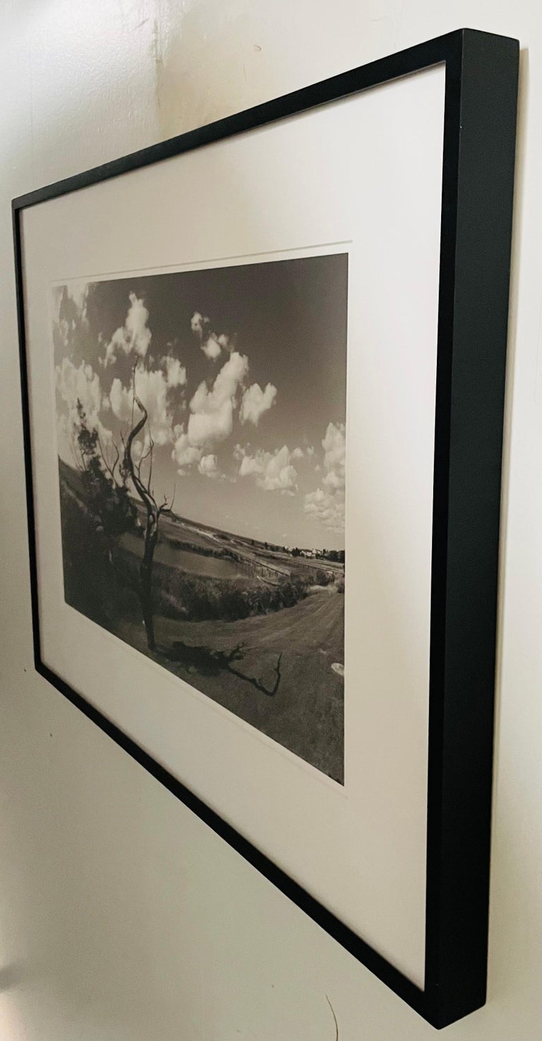 Impressionistic Photography Print of a Tree by Luciana Pampalone, Limited Edition