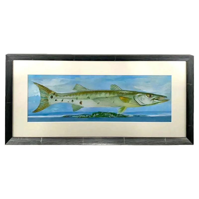 Barracuda Rising Print , Framed and Signed