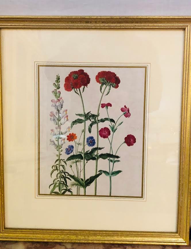 Traditional Floral Botanical Prints - Set of 3